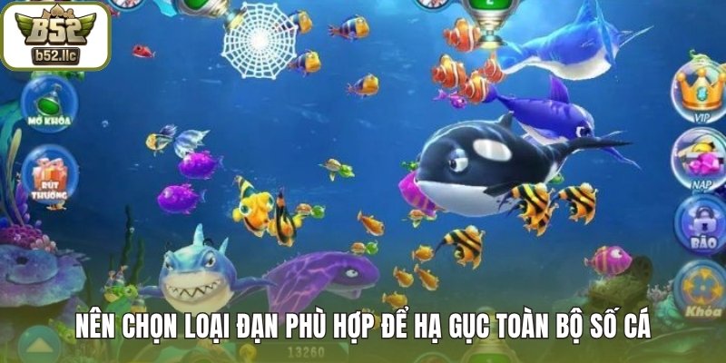 Nên chọn loại đạn phù hợp để hạ gục toàn bộ số cá